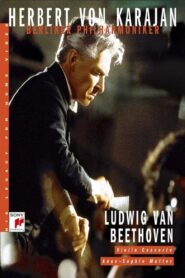 Beethoven: Concerto for Violin and Orchestra, Op. 61 1984 one on netflix