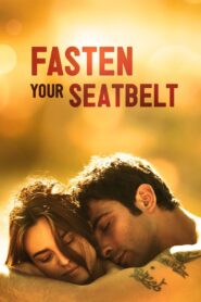 Fasten Your Seatbelts 2014 one on netflix