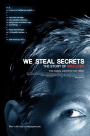 We Steal Secrets: The Story of WikiLeaks 2013 one on netflix