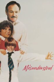 Misunderstood 1983 one on netflix