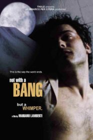 Not with a Bang 1999 one on netflix