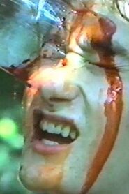 Cursed Woods 1983 one on netflix