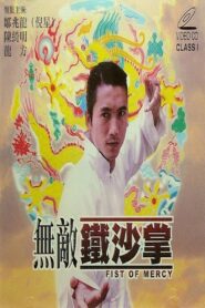 Fist of Mercy 1998 one on netflix