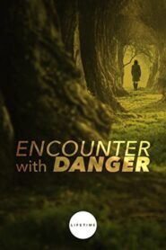 Encounter with Danger 2010 one on netflix