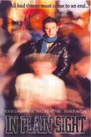 In Plain Sight 2004 one on netflix