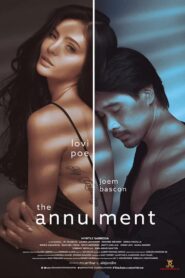 The Annulment 2019 one on netflix