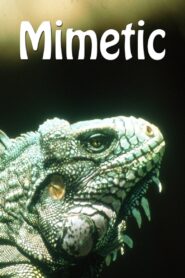 Mimetic 2004 one on netflix