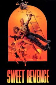 Sweet Revenge 1987 one on netflix
