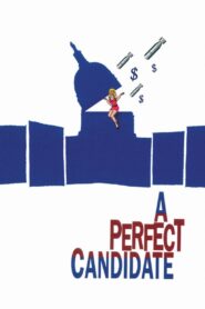 A Perfect Candidate 1996 one on netflix