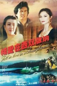相爱在西双版纳 1997 one on netflix