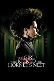 The Girl Who Kicked the Hornet’s Nest 2009 one on netflix