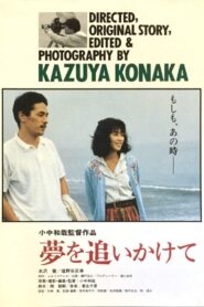 After a Dream 1993 one on netflix