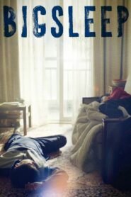 Big Sleep 2023 one on netflix