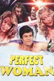 The Perfect Woman 1981 one on netflix
