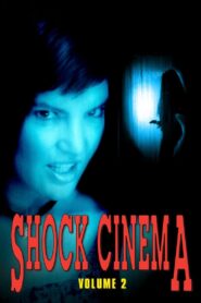 Shock Cinema: Volume Two 1991 one on netflix