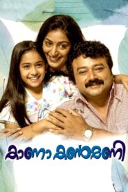 Kana Kanmani 2009 one on netflix