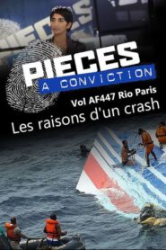 Pièces à conviction – Vol AF447 Rio Paris – Les raisons d’un crash 2013 one on netflix