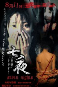 Seven Nights 2005 one on netflix