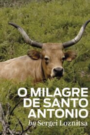 The Miracle of Saint Anthony 2012 one on netflix