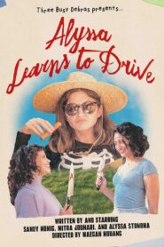 Alyssa Learns to Drive 2022 one on netflix