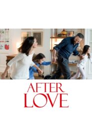 After Love 2016 one on netflix