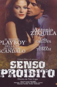 Senso proibito 1995 one on netflix