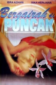 Passion at the Summit 1996 one on netflix