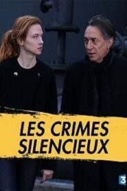 Murder in Lille 2017 one on netflix