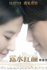 For Love or Money 2014 one on netflix