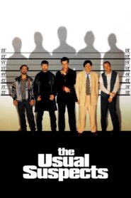 The Usual Suspects 1995 one on netflix