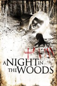 A Night in the Woods 2011 one on netflix