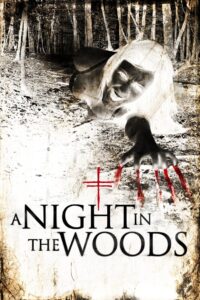 A Night in the Woods 2011 one on netflix