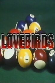 Love Birds 1988 one on netflix