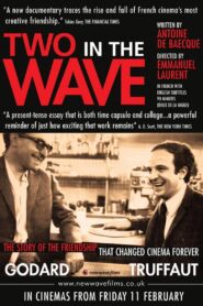 Two in the Wave 2010 one on netflix