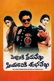 Pellaniki Premalekha Priyuraliki Subhalekha 1992 one on netflix