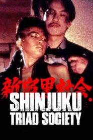 Shinjuku Triad Society 1995 one on netflix