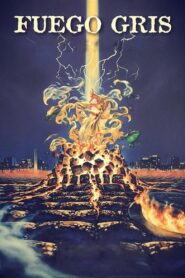 Grey Fire 1994 one on netflix