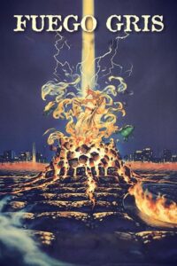 Grey Fire 1994 one on netflix