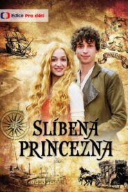 Slíbená princezna 2016 one on netflix