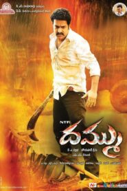 Dhammu 2012 one on netflix