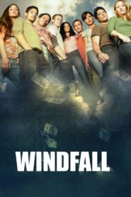 Windfall 2006 one on netflix