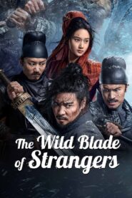 The Wild Blade of Strangers 2024 one on netflix