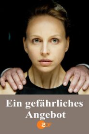 Ein gefährliches Angebot 2016 one on netflix