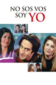 It’s Not You, It’s Me 2004 one on netflix