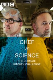 Chef vs. Science: The Ultimate Kitchen Challenge 2016 one on netflix