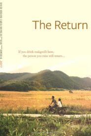 The Return 2017 one on netflix