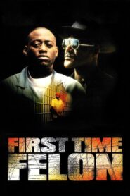First Time Felon 1997 one on netflix