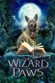 The Amazing Wizard of Paws 2015 one on netflix