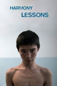 Harmony Lessons 2013 one on netflix