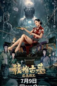 Tomb of the Dragon Coffin: The Wolf King of Western Xia 2021 one on netflix